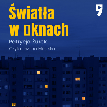 Światła w oknach book cover