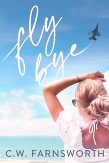 Fly Bye book cover