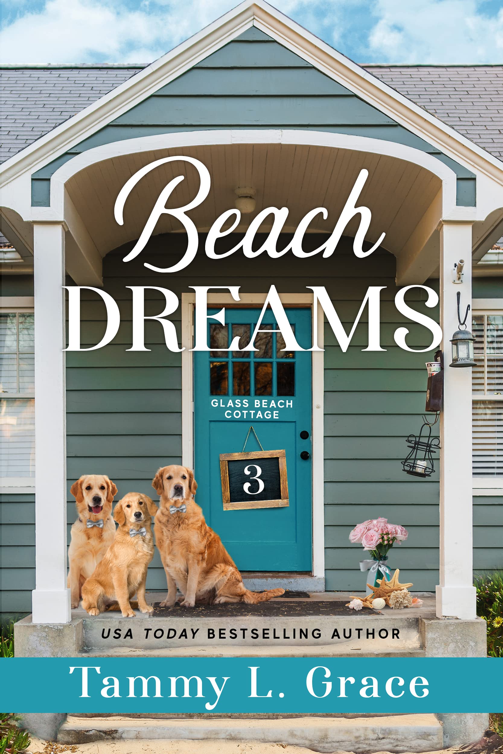 Beach Dreams book cover