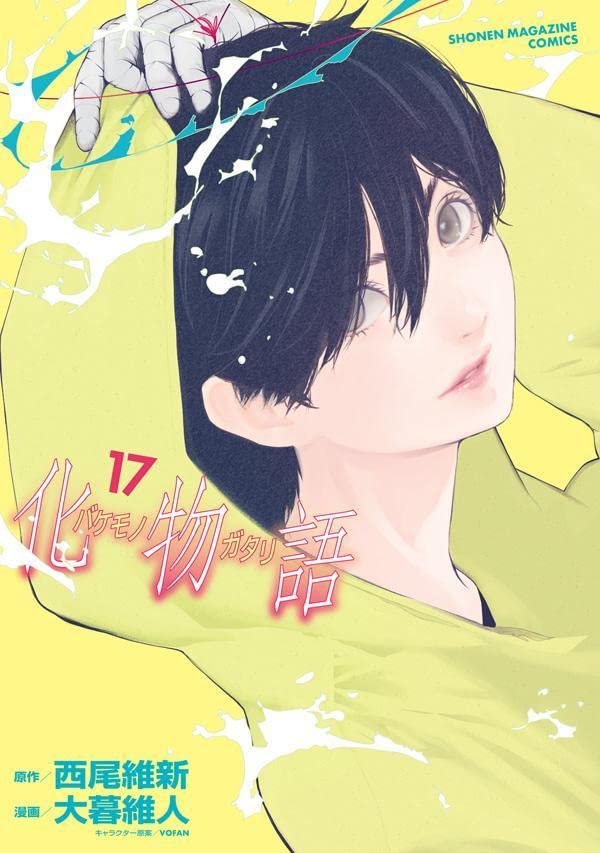 化物語 17 [Bakemonogatari 17] book cover