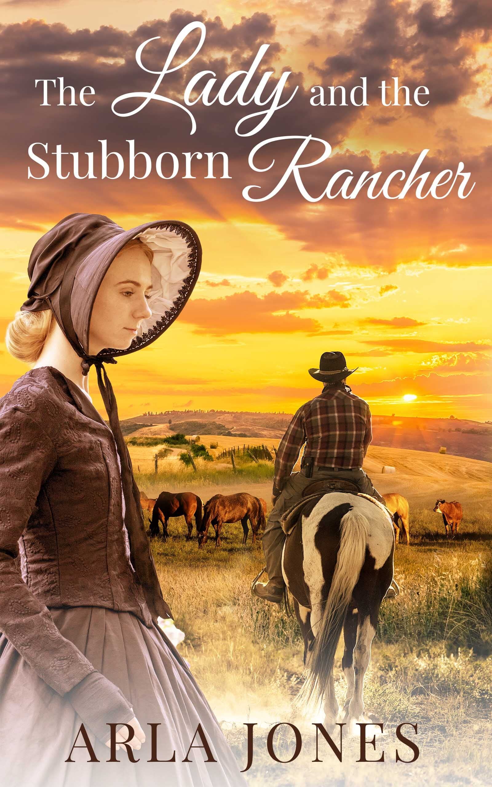 The Lady and the Stubborn Rancher book cover