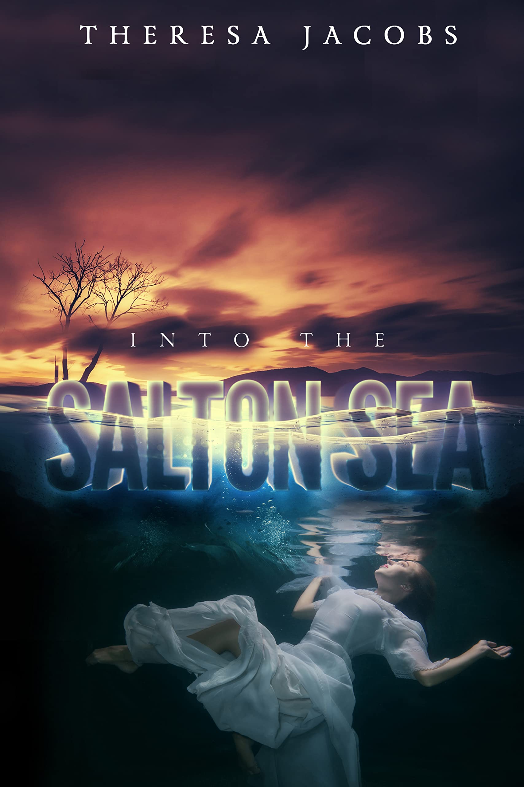 Into The Salton Sea book cover