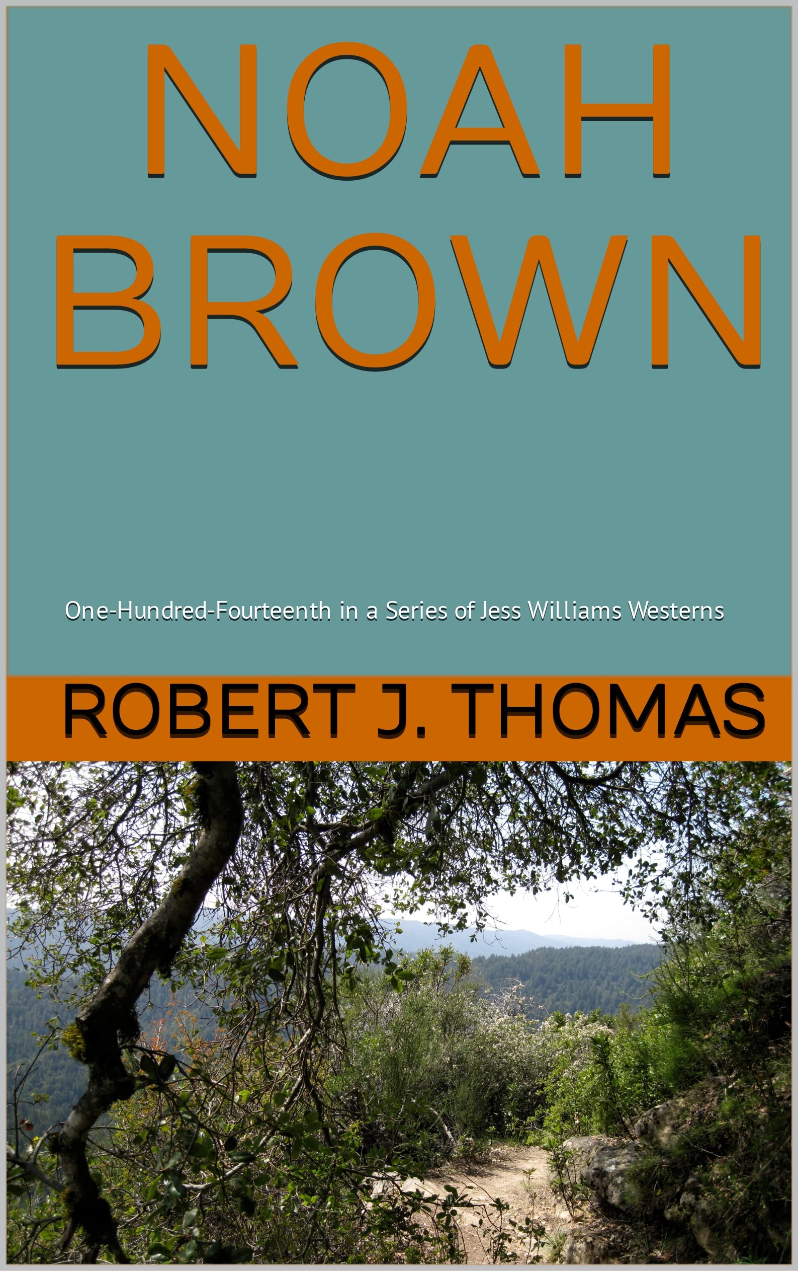 NOAH BROWN book cover