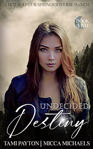 Undecided Destiny book cover