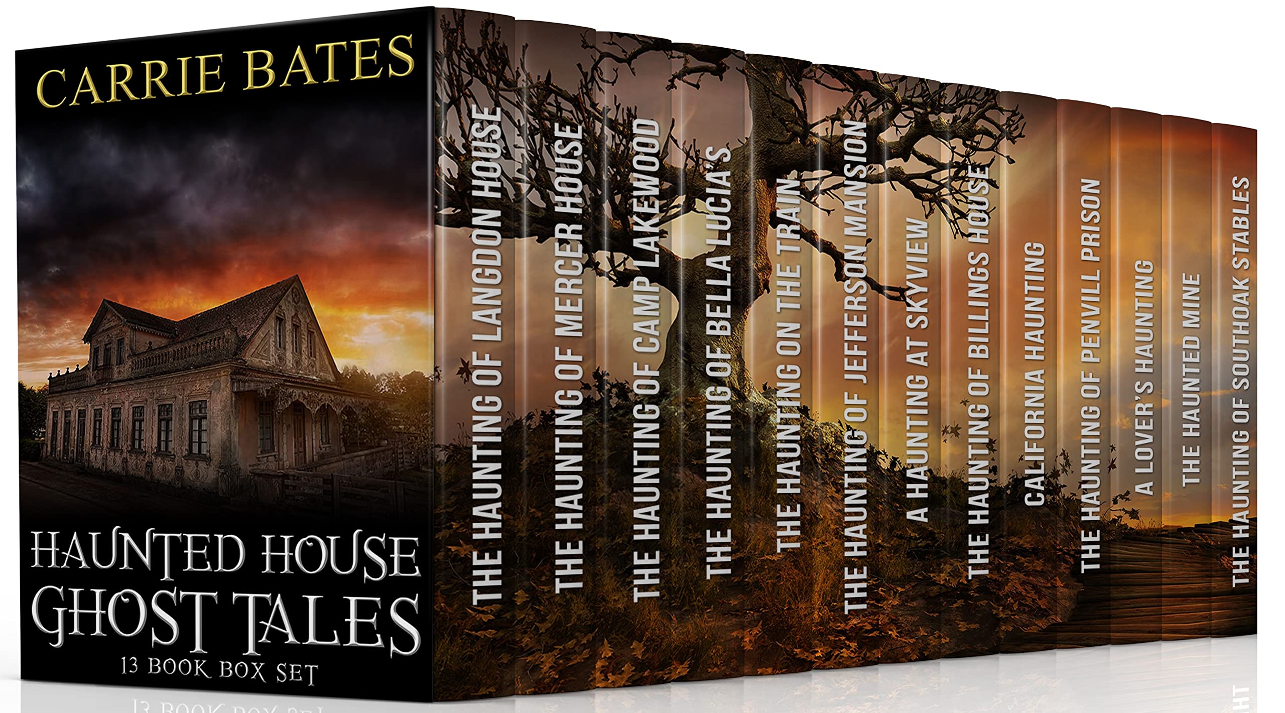 Haunted House Ghost Tales: 13 Book Box Set