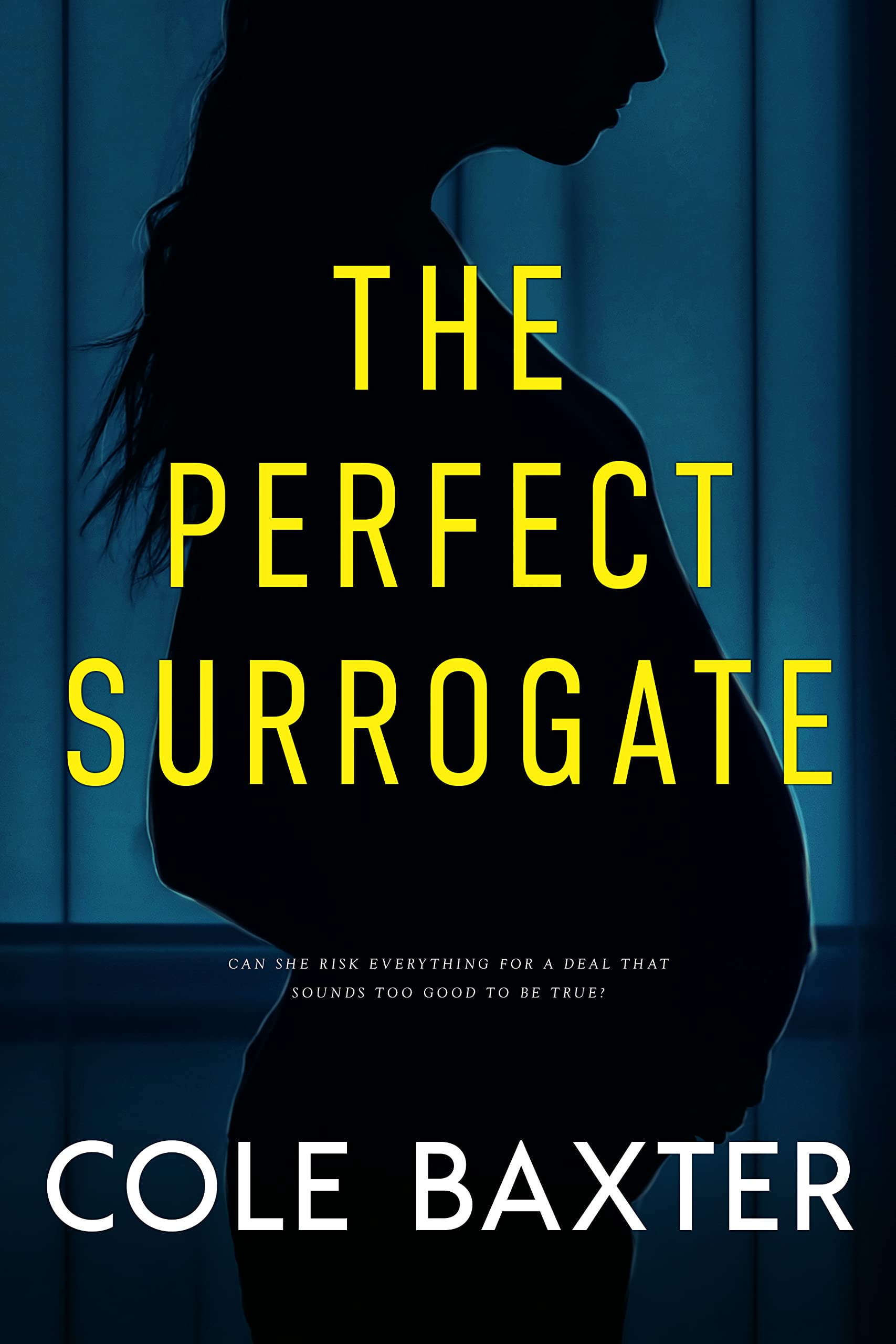 The Perfect Surrogate book cover