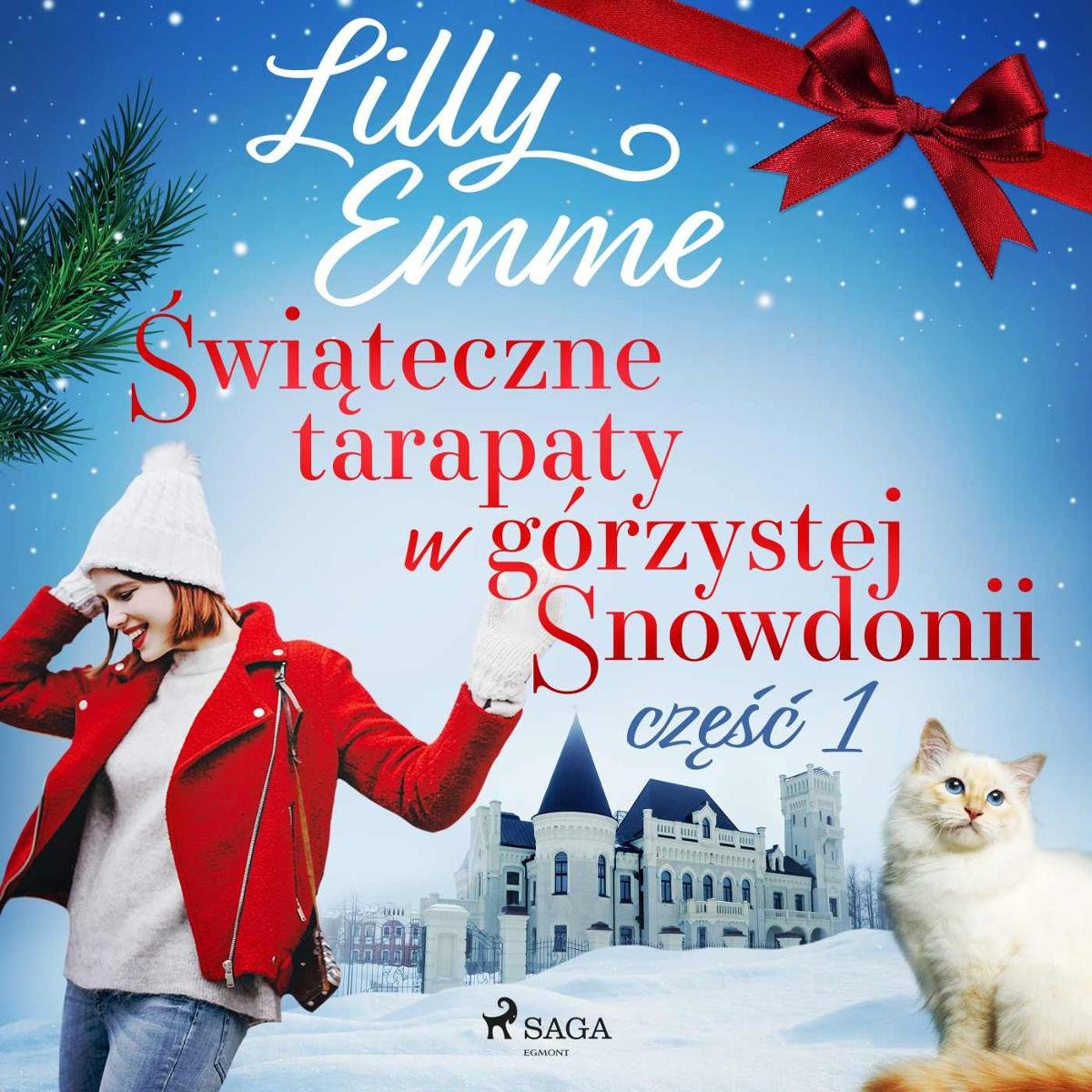 Świąteczne tarapaty w górzystej Snowdonii. Część 1