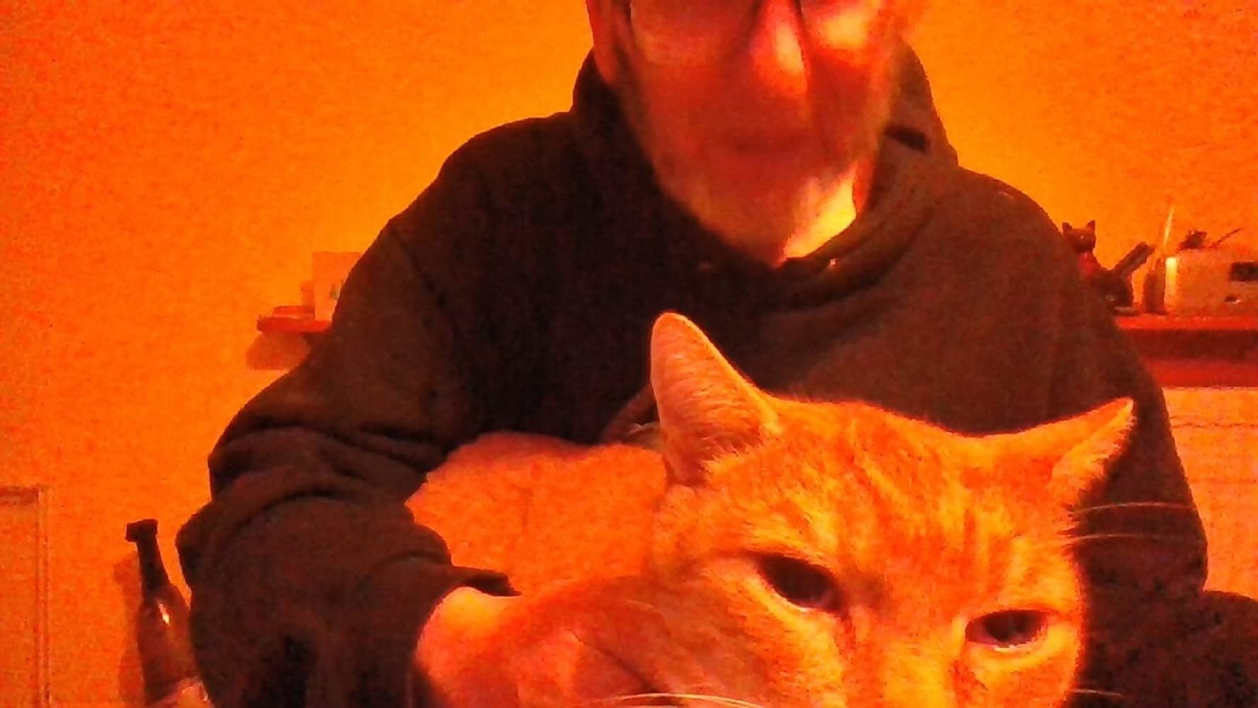 Monty the best Cat in the World The story of a much loved cat by Kevin