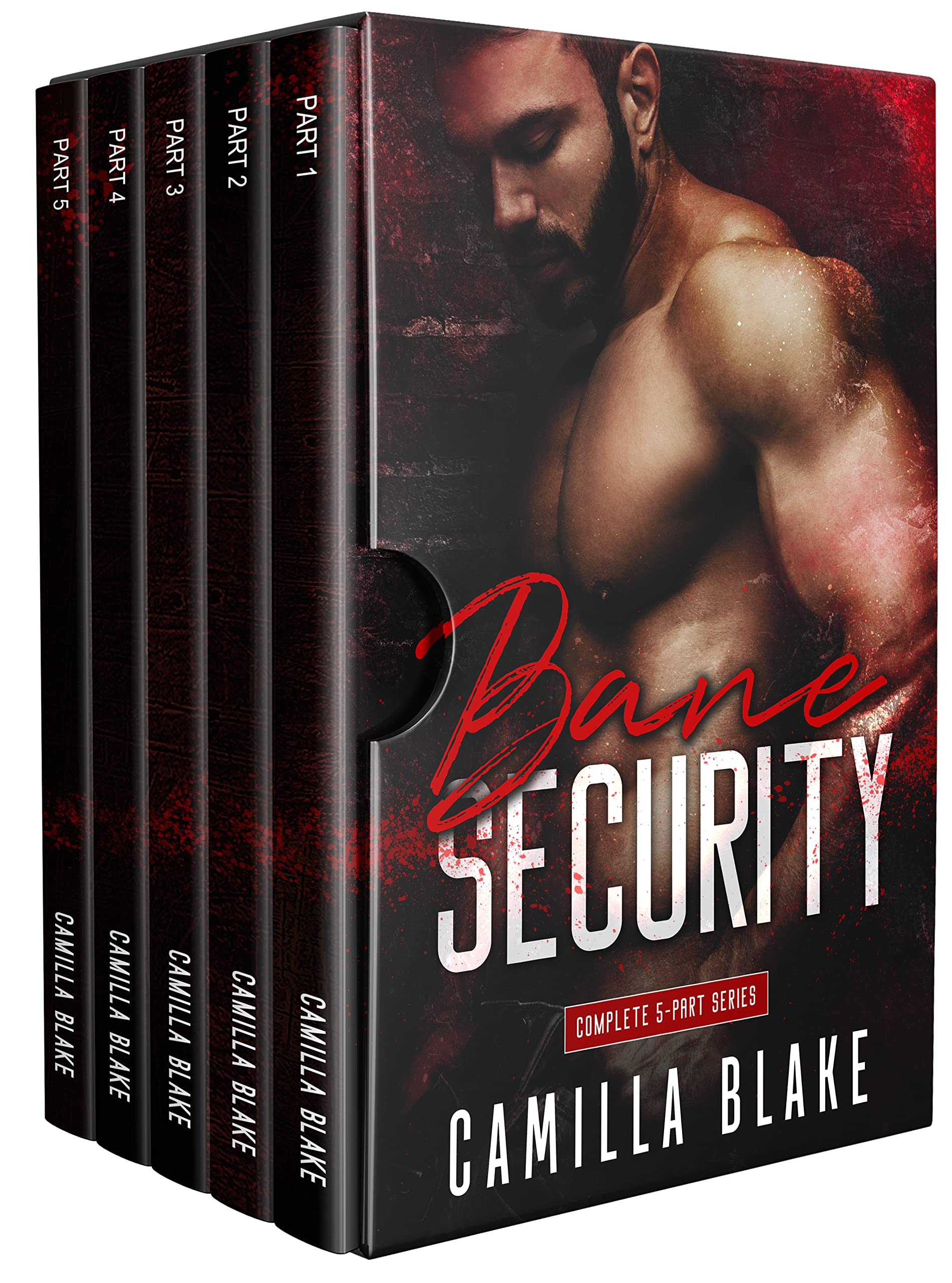 Bane Security: Complete 5-Book Series