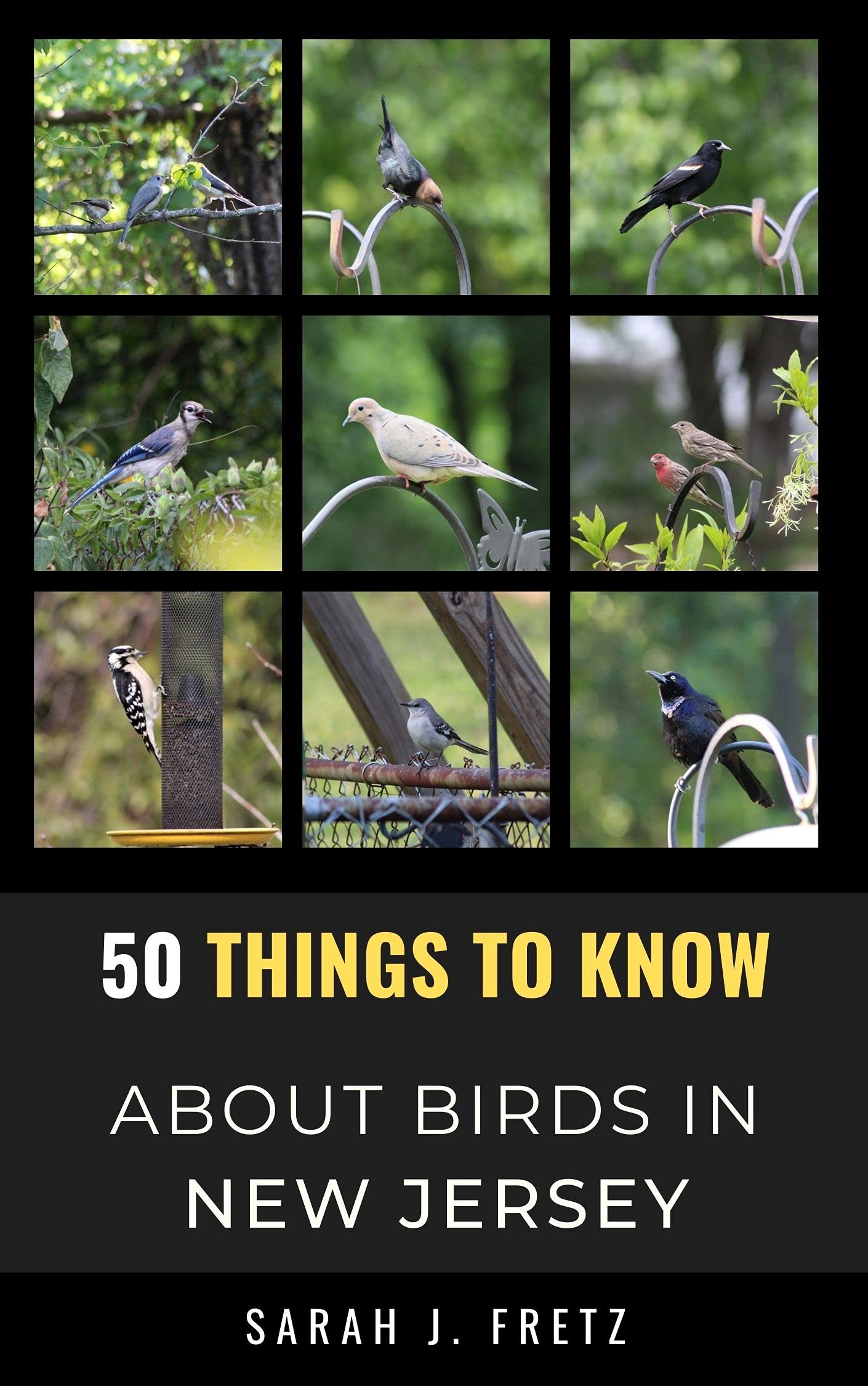 50 Things to Know About Birds in New Jersey Birding in the Garden