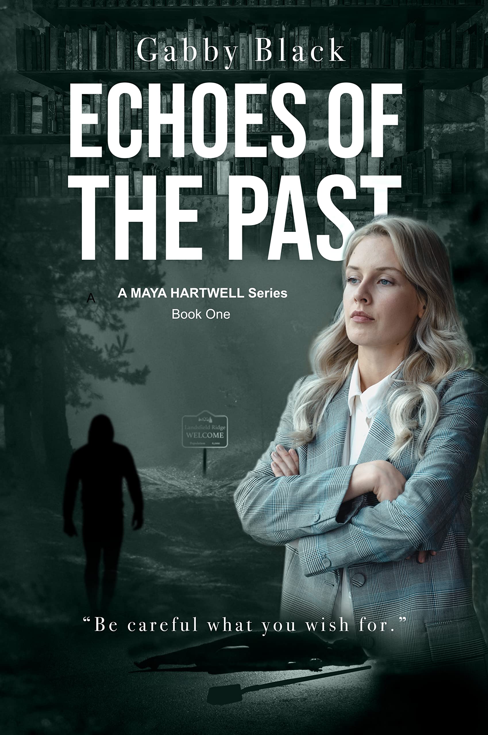 Echoes Of The Past (Maya Hartwell