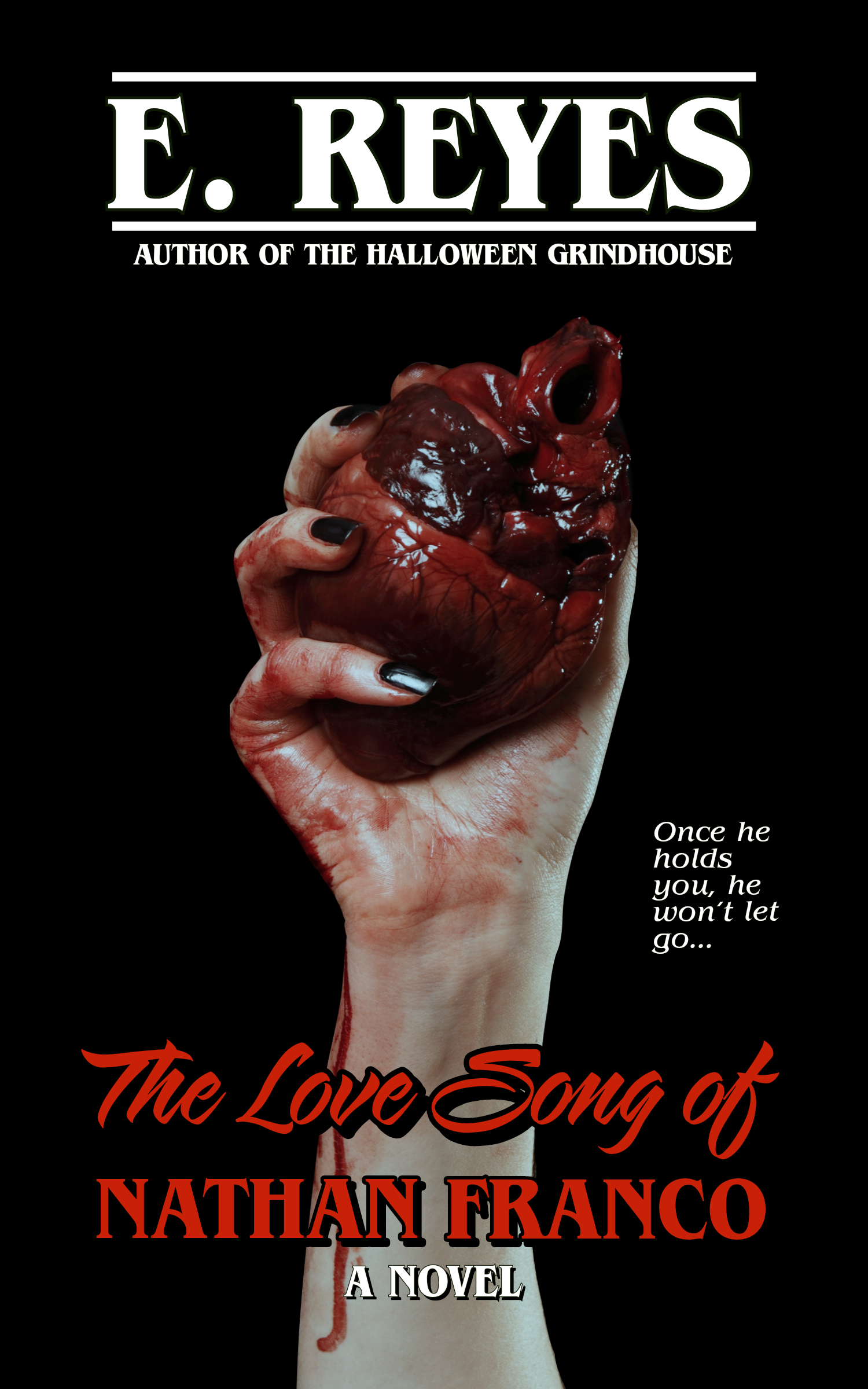 The Love Song of Nathan Franco book cover