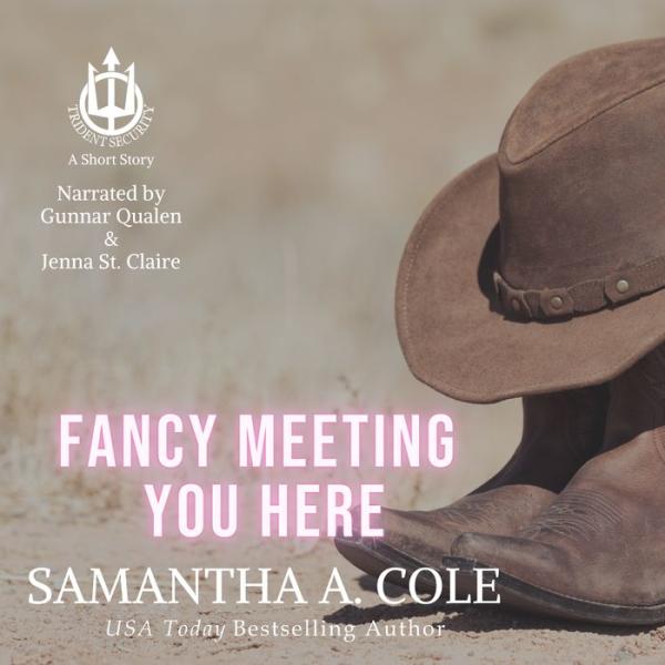 Fancy Meeting You Here book cover