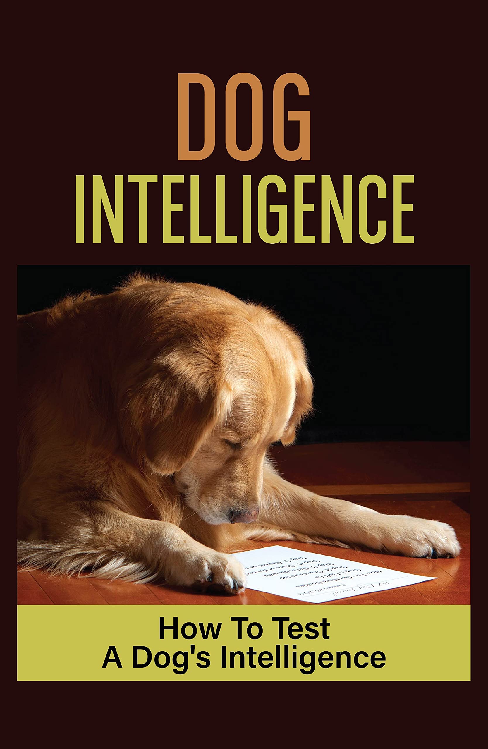 Dog Intelligence How To Test A Dog's Intelligence Test Your Dog'S Iq