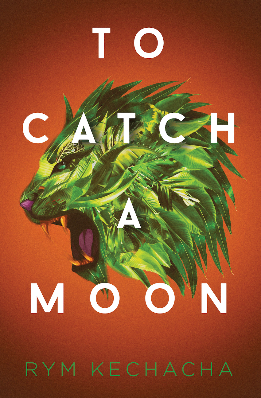 To Catch a Moon book cover