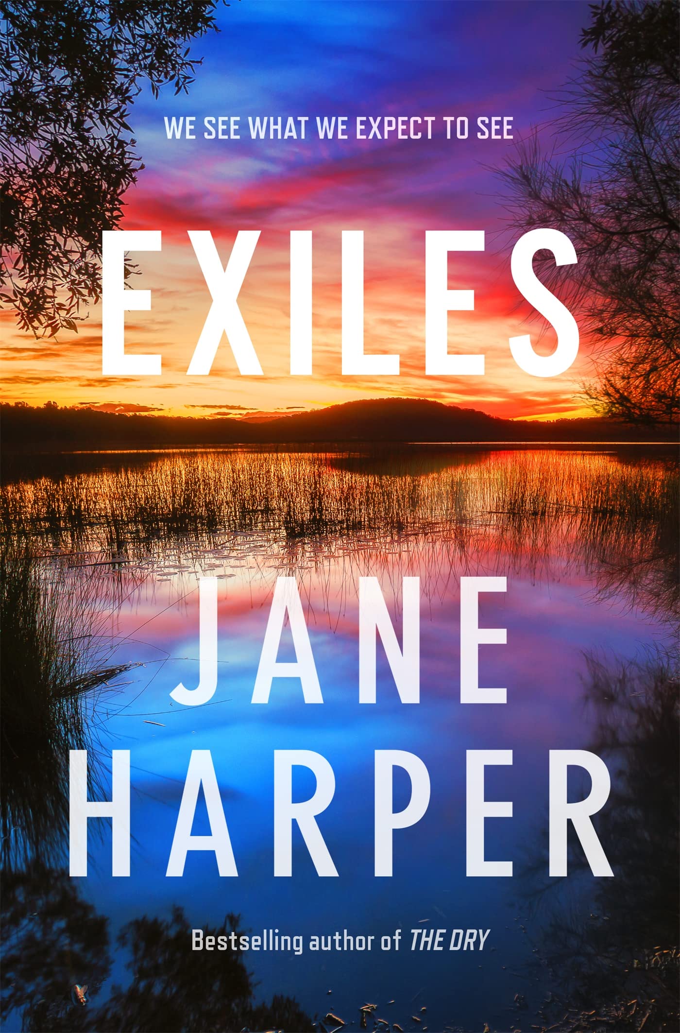 Exiles (Aaron Falk, #3)