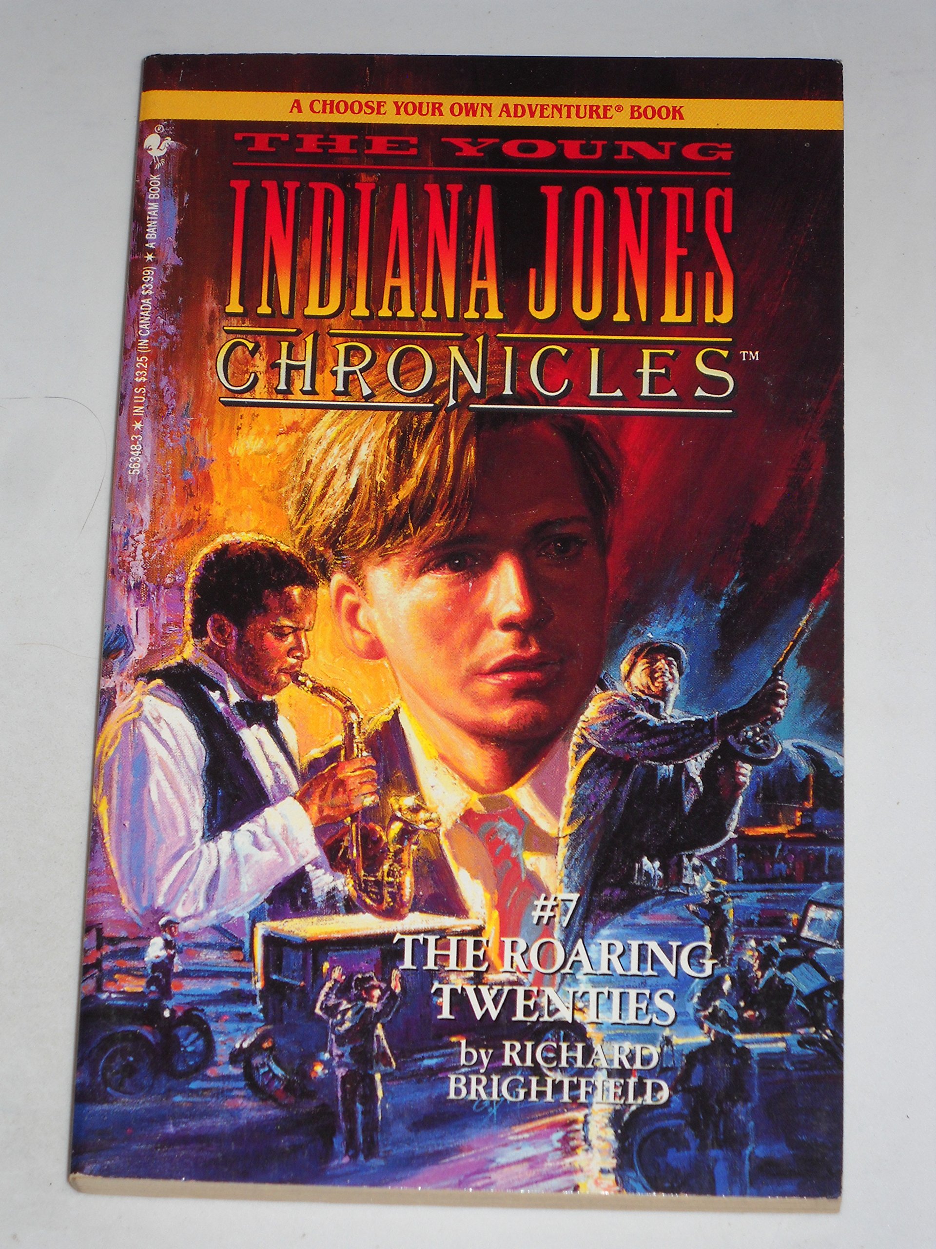 The Roaring Twenties book cover