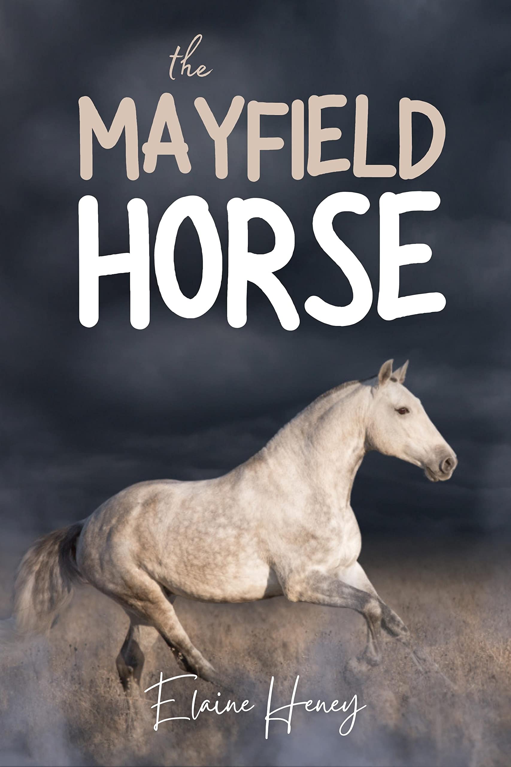 The Mayfield Horse - Book 3 in the Connemara Horse Adventure Series for Kids | The Perfect Gift for Children age 8-12