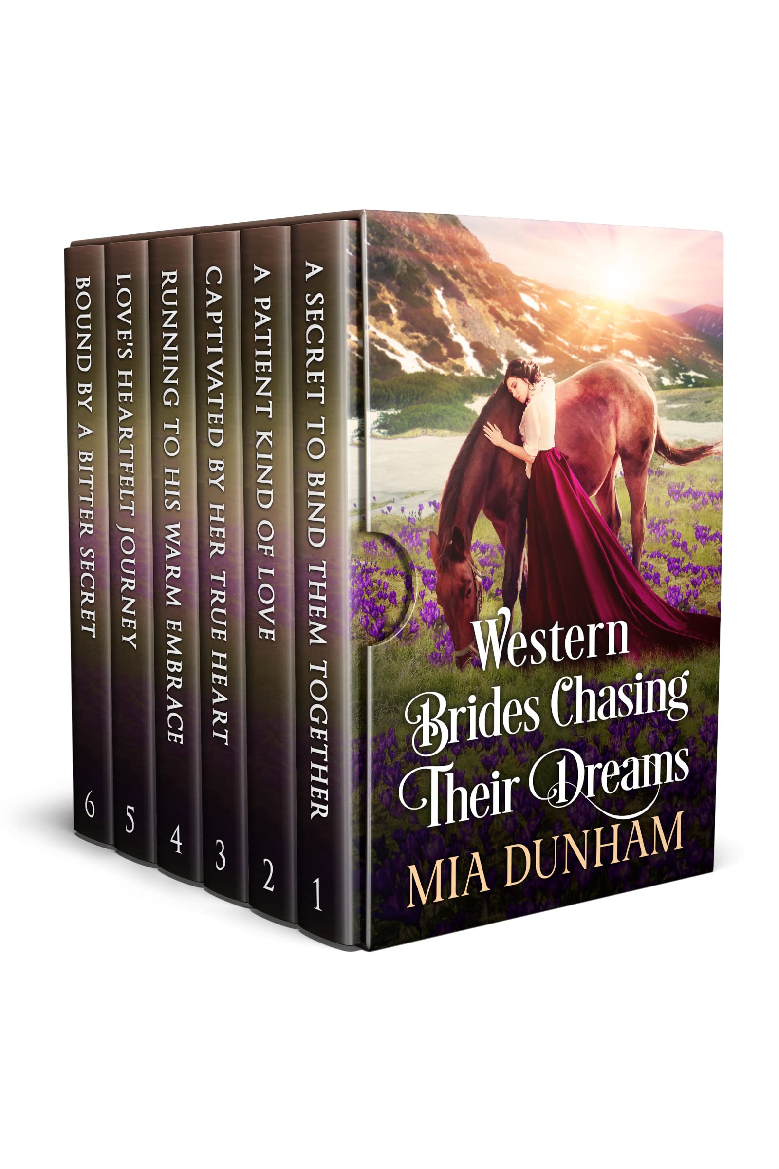 Western Brides Chasing Their Dreams: A Historical Western Romance Collection