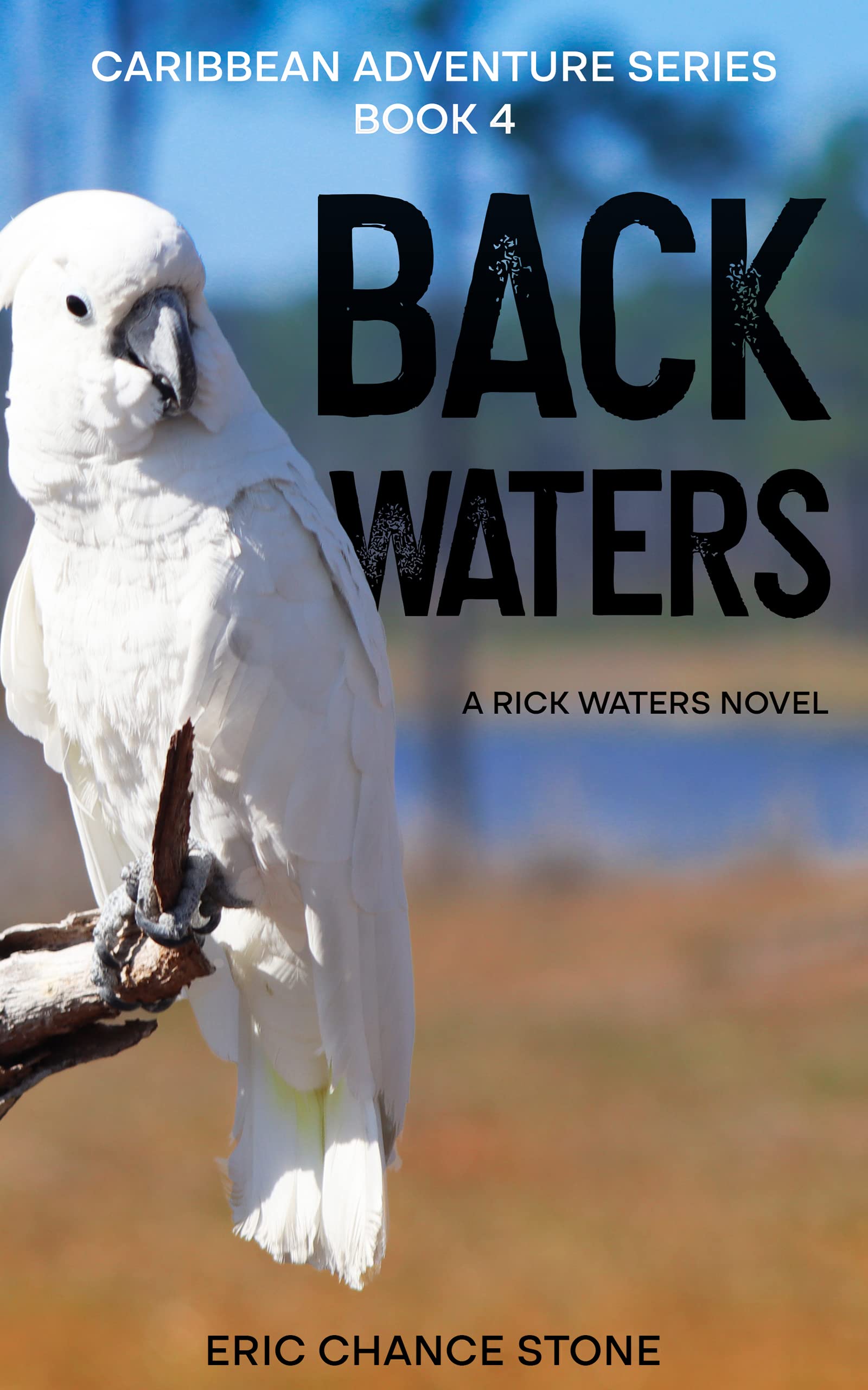 Back Waters: A Rick Waters Novel