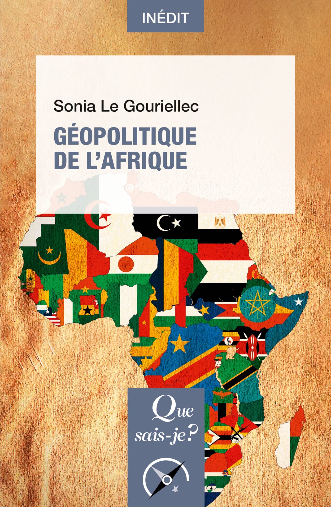 Géopolitique de l'Afrique (French Edition)