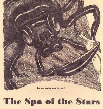 The Spa of the Stars book cover