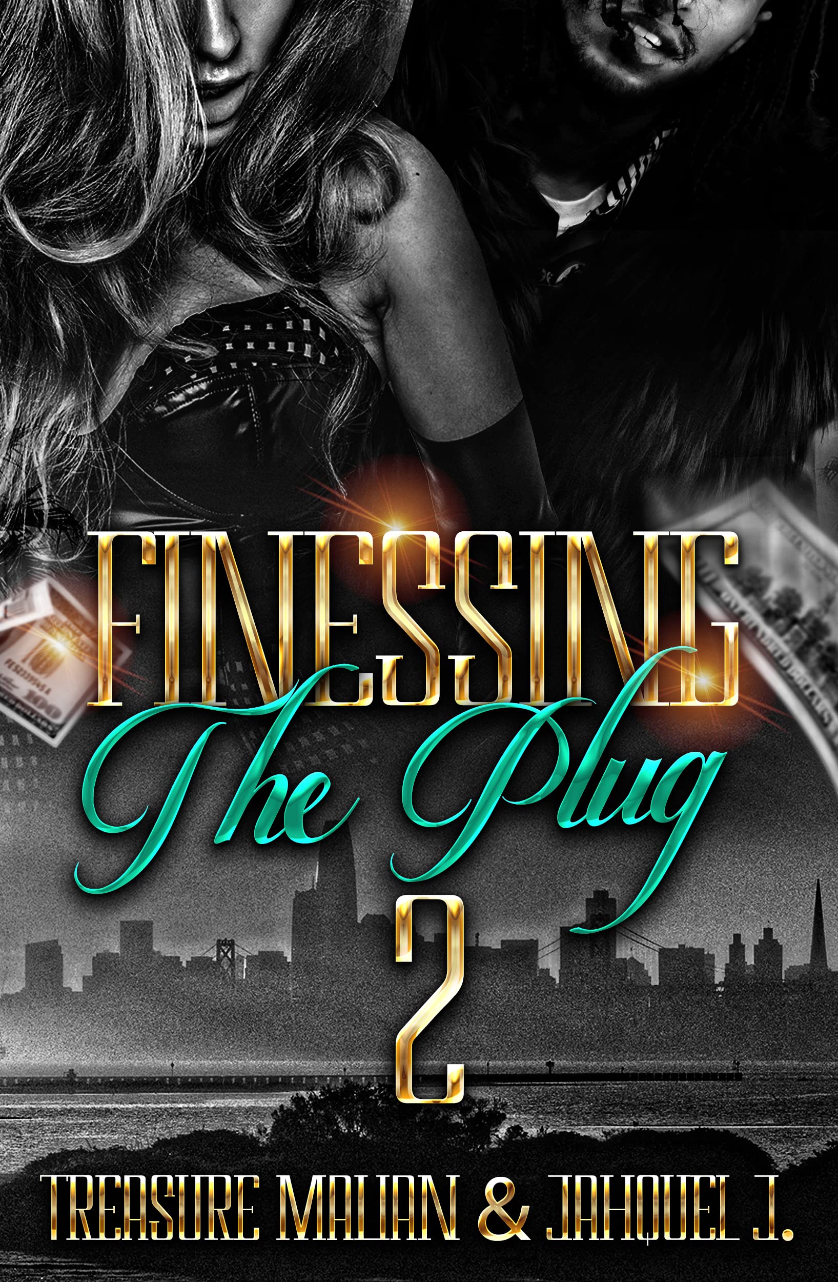 Finessing The Plug 2 book cover