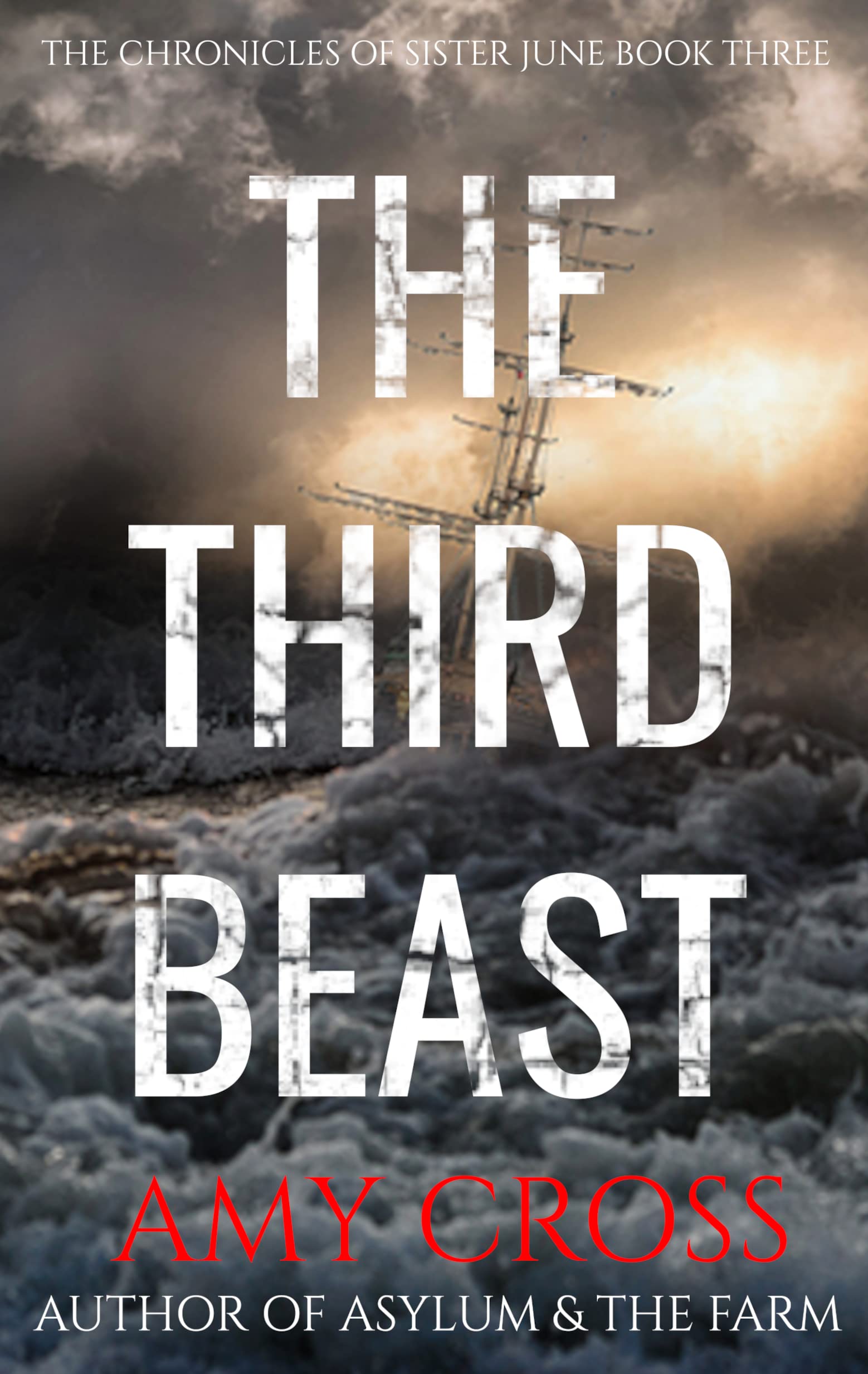 The Third Beast book cover