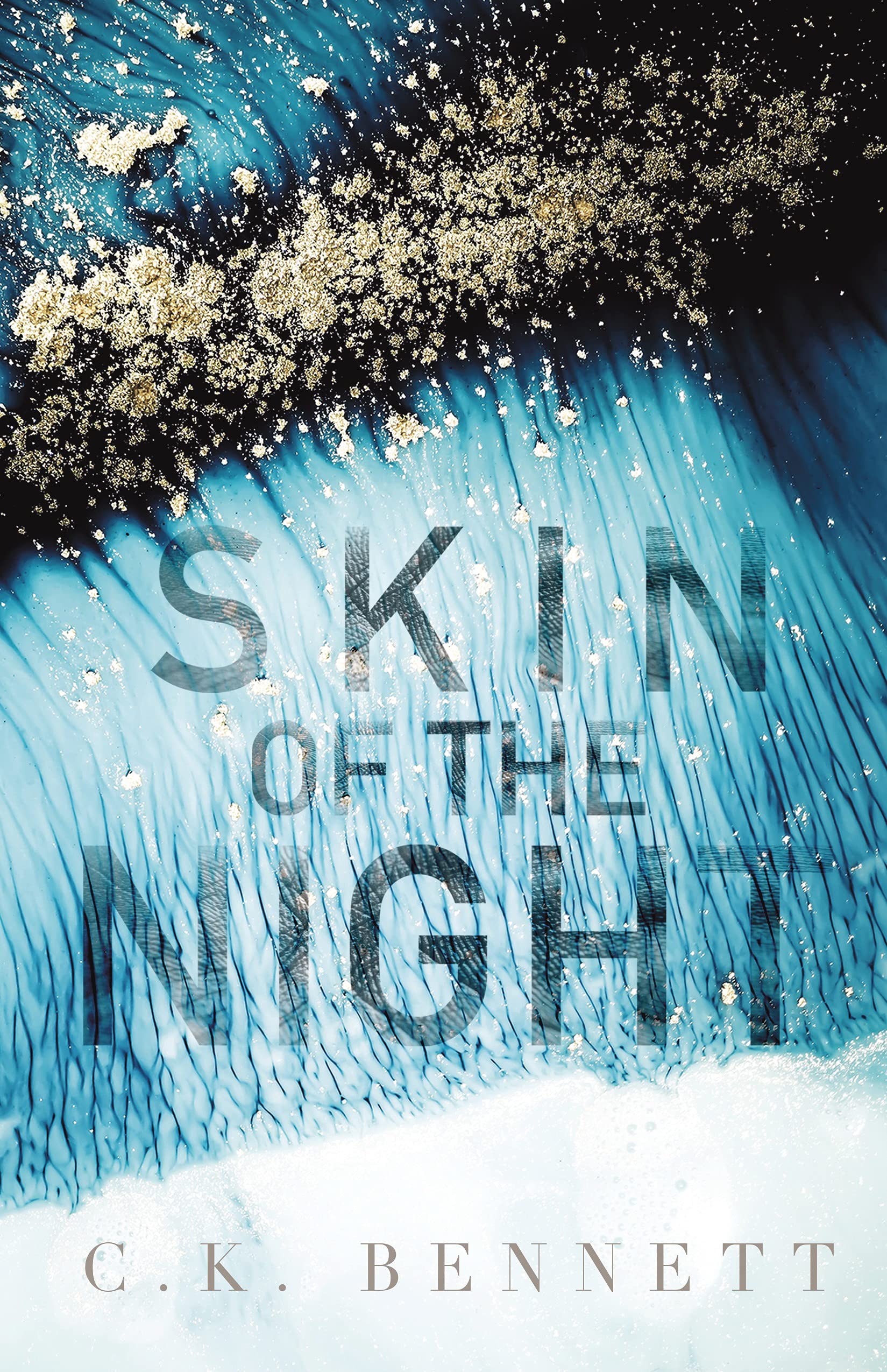 Skin of the Night Book One of The Night series by C.K.