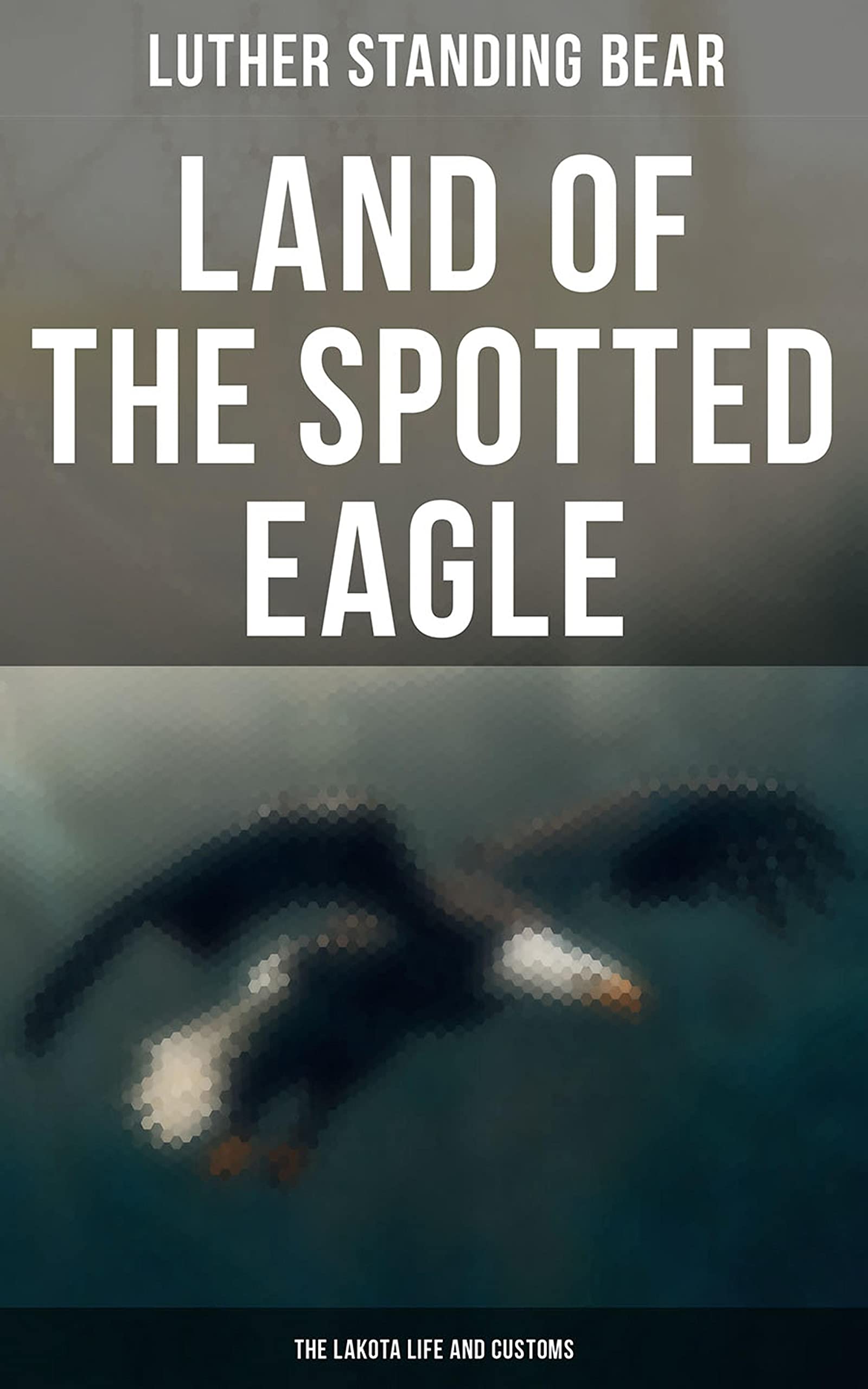 Land of the Spotted Eagle The Lakota Life and Customs An Ethnographic Description by Luther
