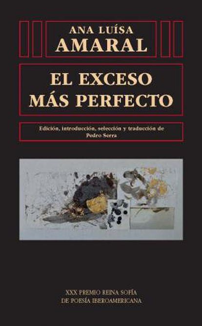 El exceso más perfecto book cover