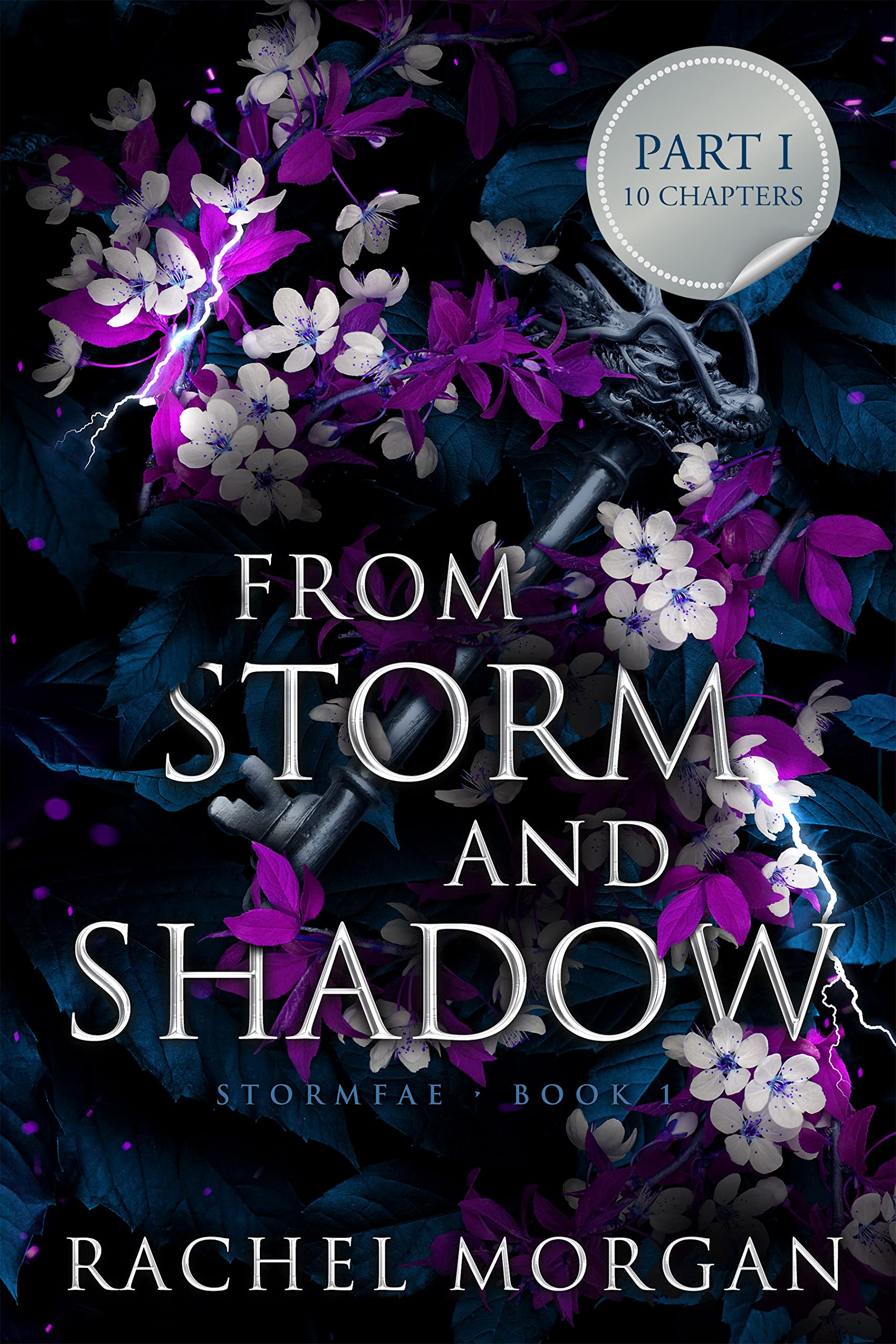 From Storm and Shadow book cover