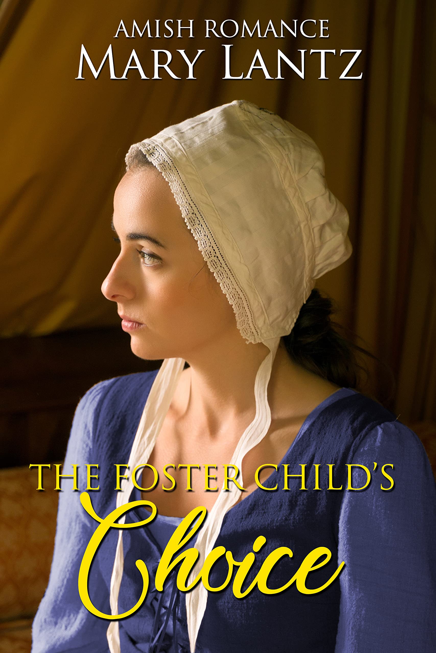 The Foster Child's Choice: The Zook Family Foster Series Book 2