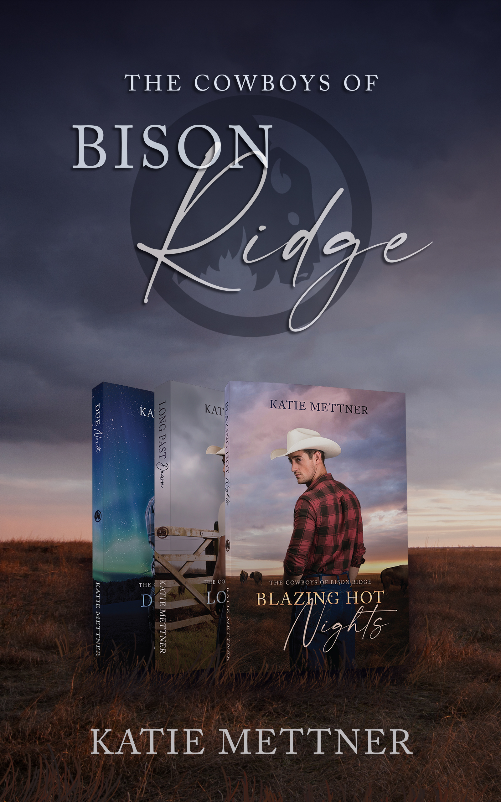 The Cowboys of Bison Ridge Box Set by Katie Mettner Goodreads
