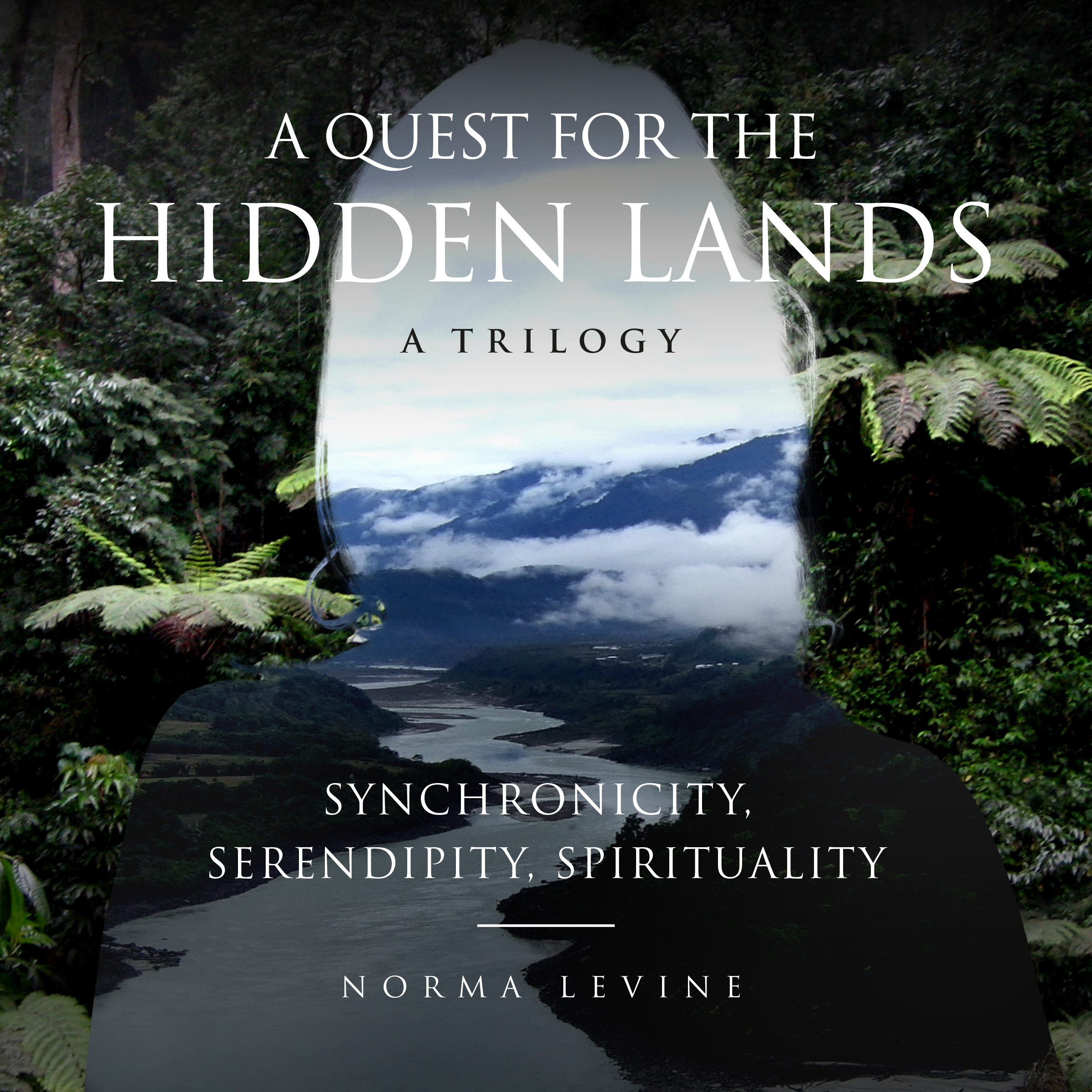 A Quest for the Hidden Lands by Norma Levine Goodreads