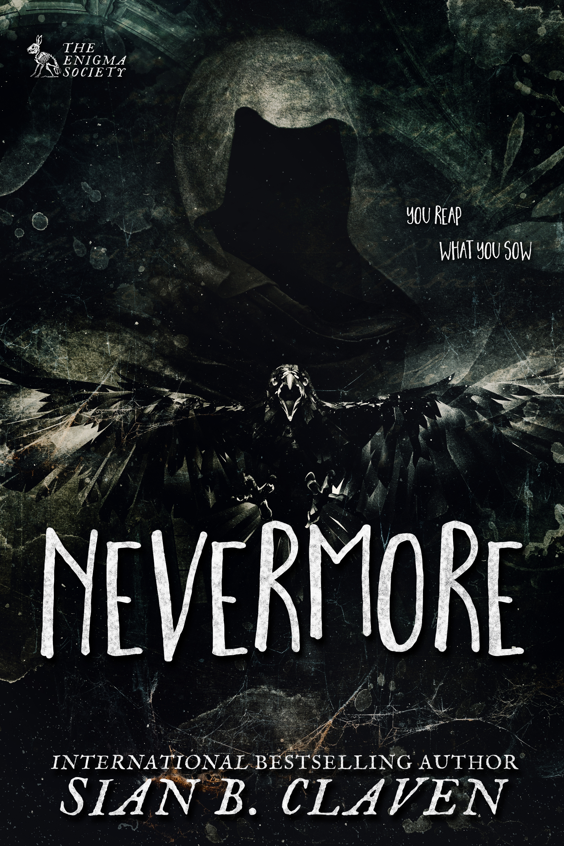 Nevermore book cover