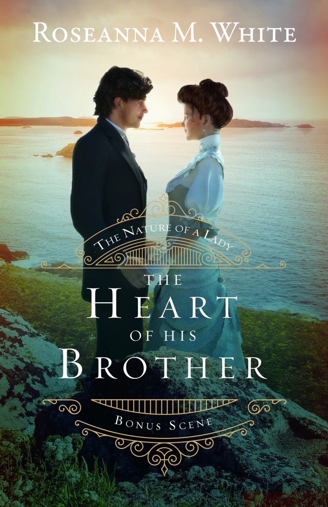 The Heart of His Brother book cover