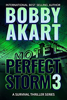 Perfect Storm 3 book cover