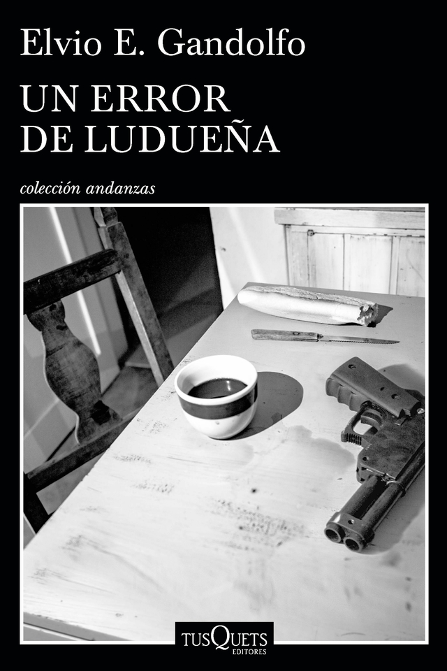 Un error de Ludueña book cover