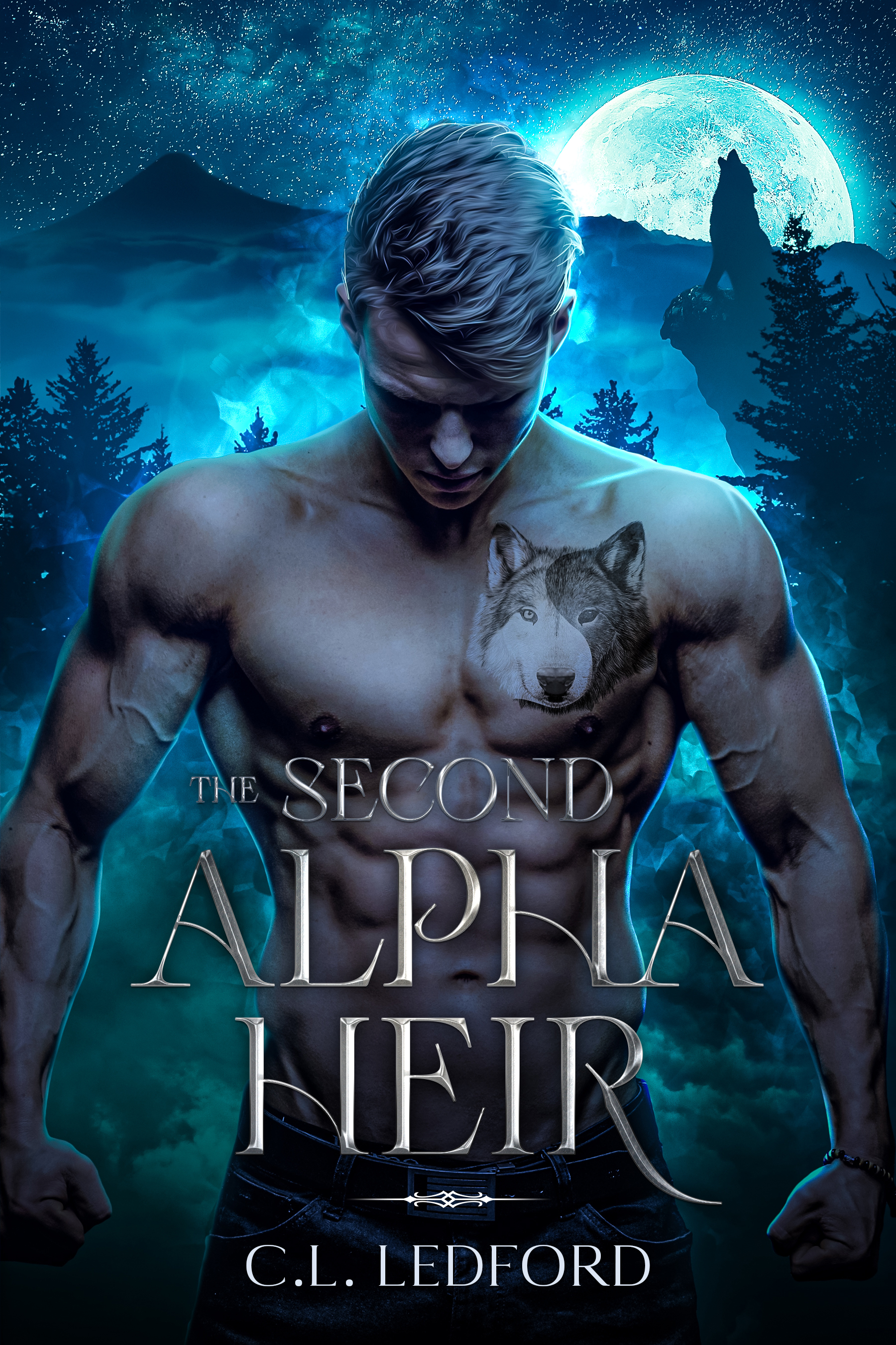 The Second Alpha Heir book cover