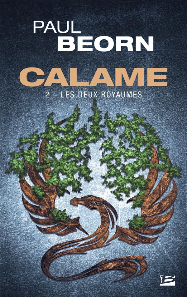 Calame book cover 2