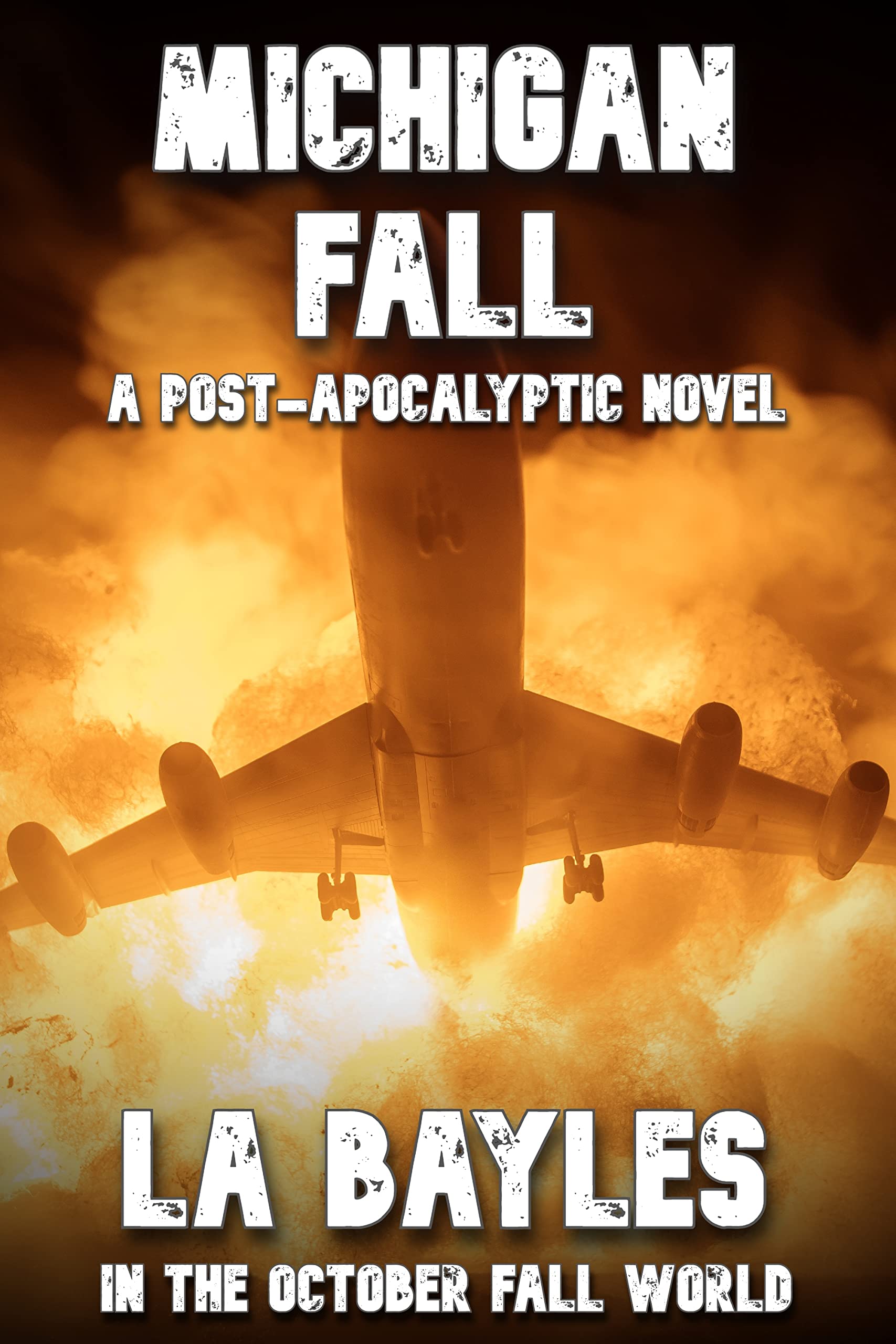 MICHIGAN FALL book cover