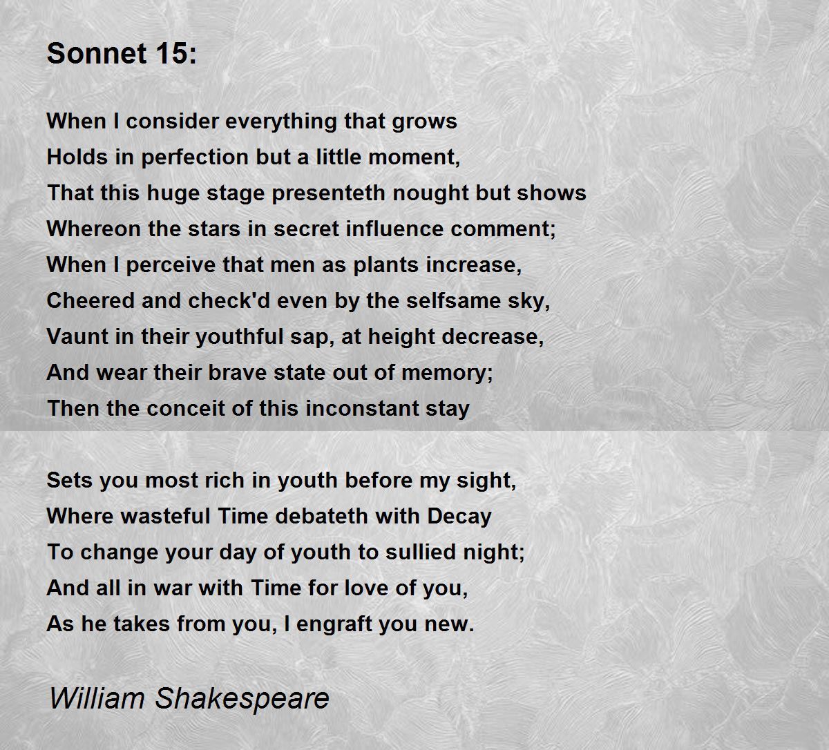 Sonnet 15 book cover