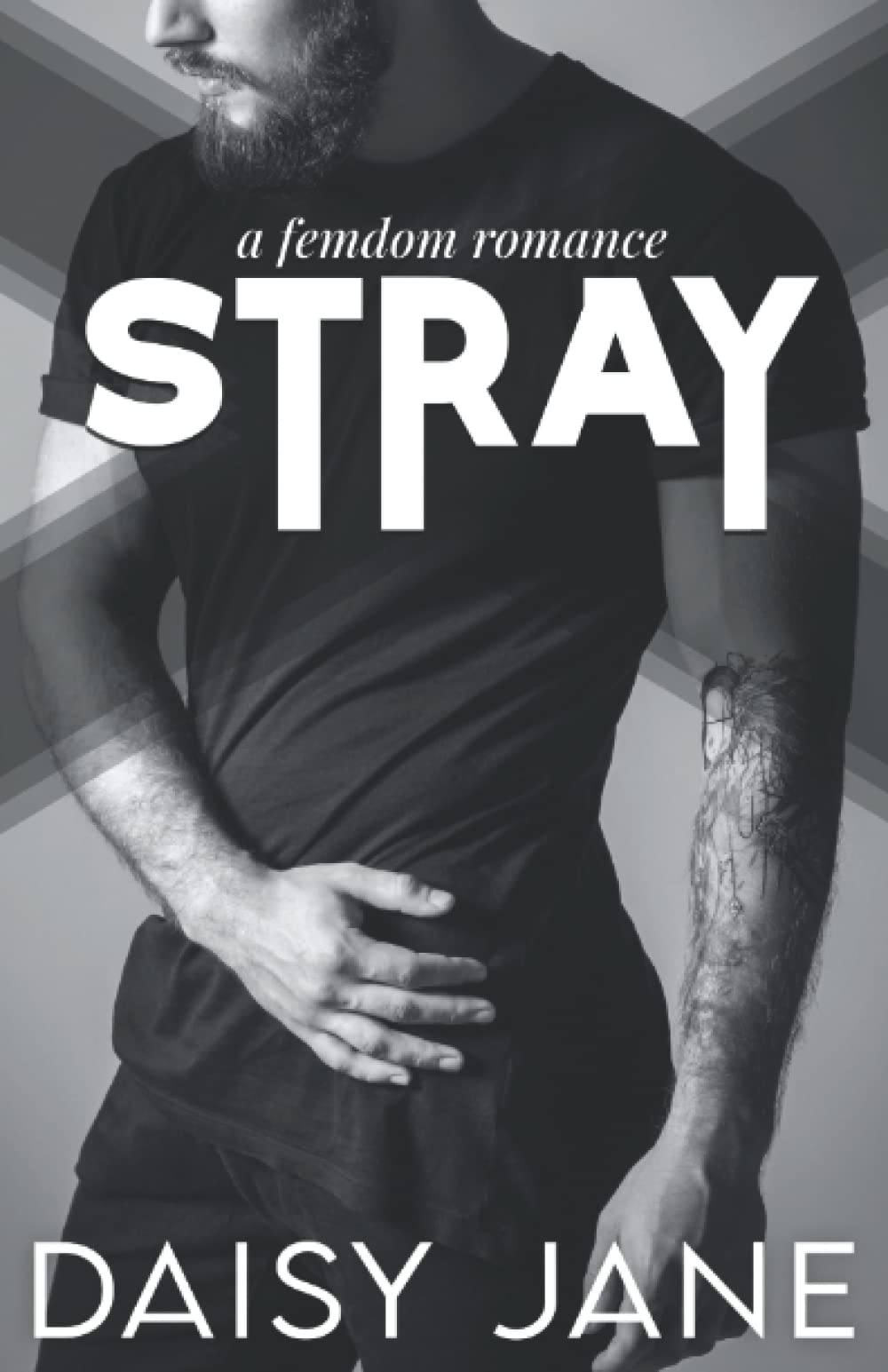 Stray (Men of Paradise, #2)