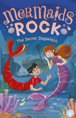The Secret Shipwreck book cover
