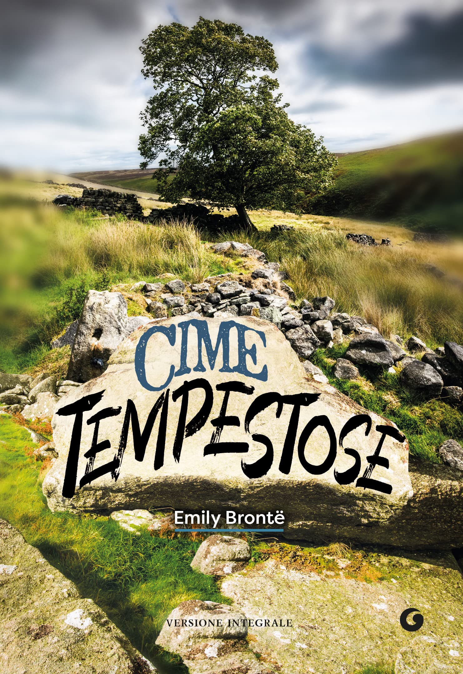cime tempestose di emily brontë