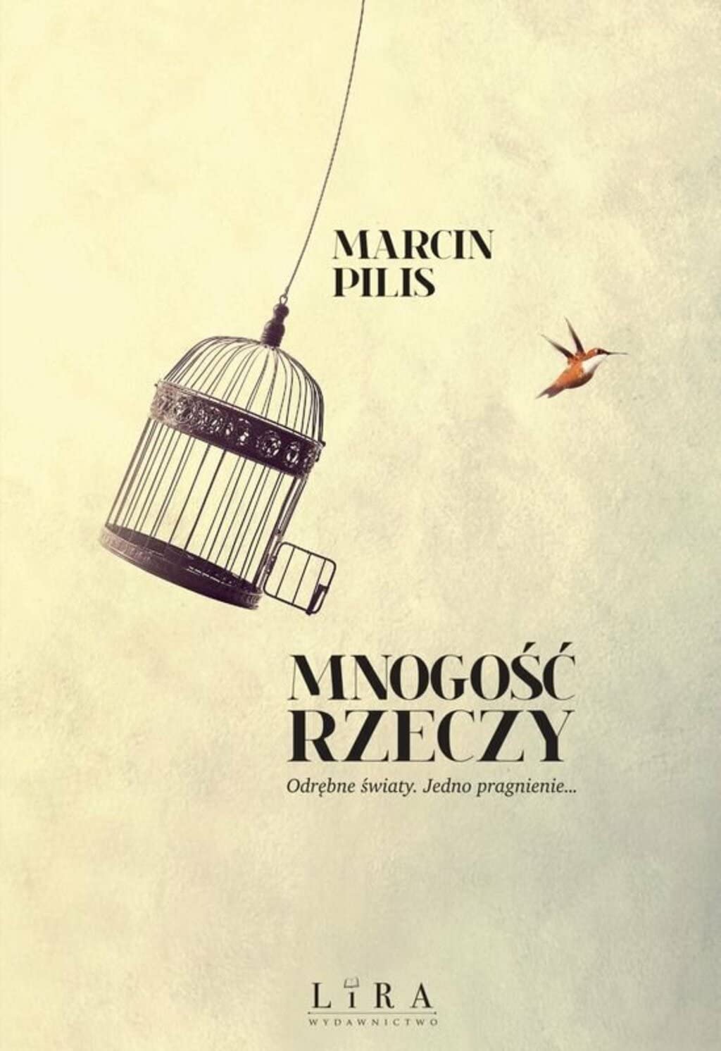 Mnogosc rzeczy