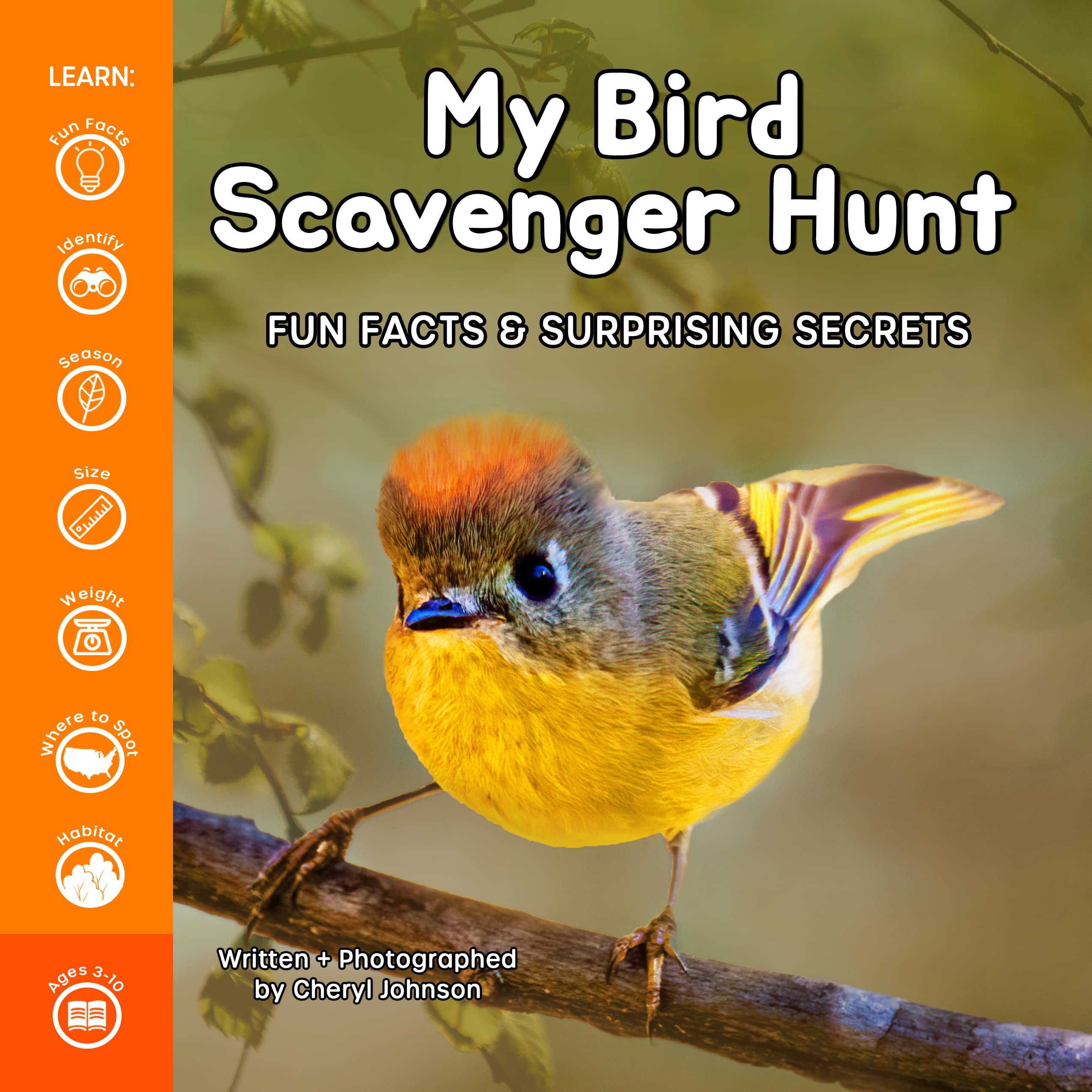My Bird Scavenger Hunt Children’s Book of Birds, Educational Wildlife