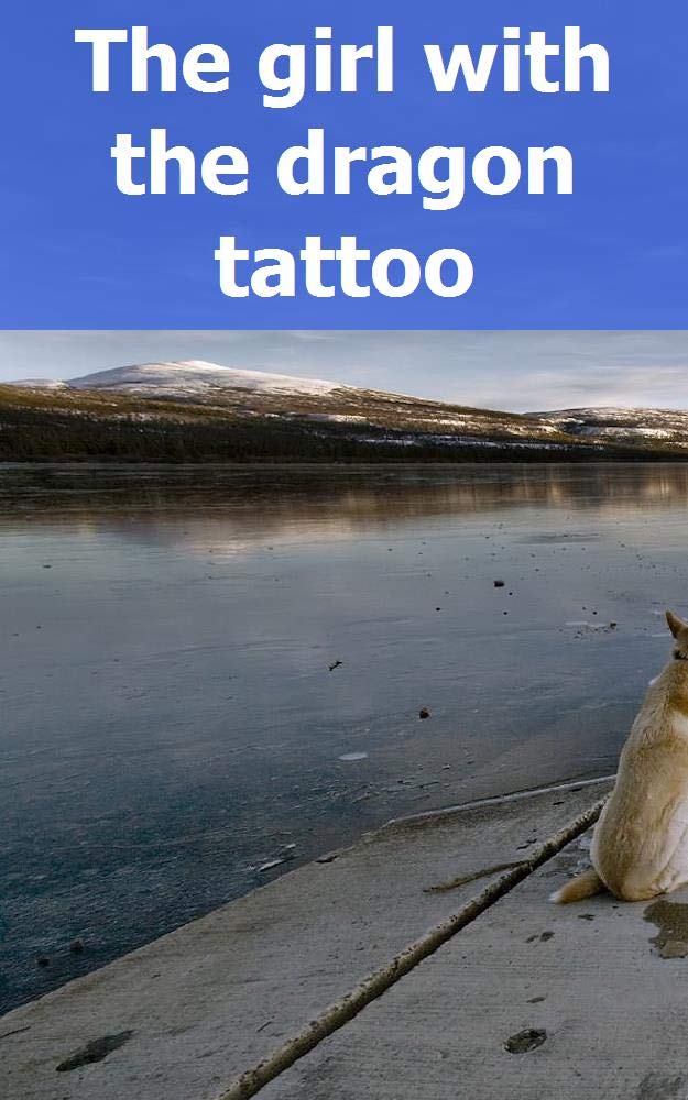 The girl with the dragon tattoo by Elwanda Lekey Goodreads