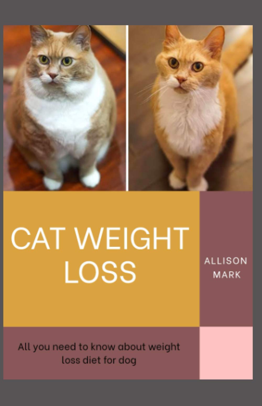 Cat Weight Loss All You Need To Know About Weight Loss diet for Cat by